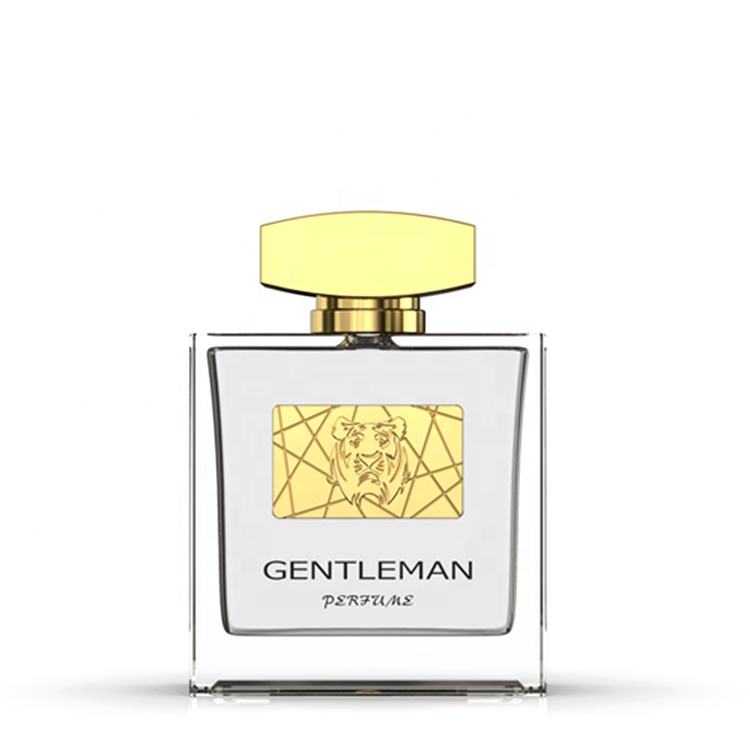 Professional Custom Eco-friendly Recyclable 100ml Square Shape Empty Perfume Pump Spray Glass Bottle
