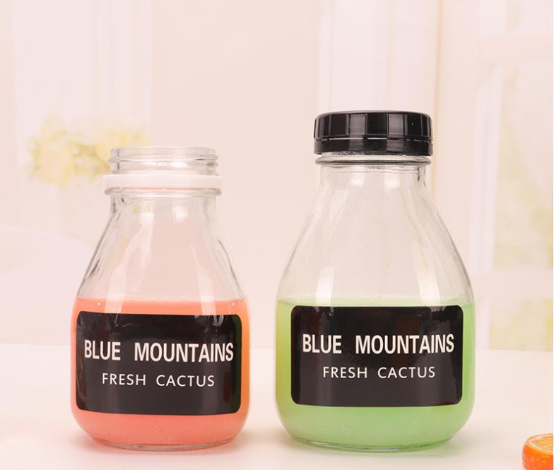 Promotion Juice Bottle Tritan Plastic Water Jar 500ml fruit Bottles