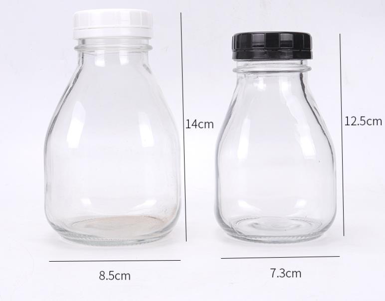 Promotion Juice Bottle Tritan Plastic Water Jar 500ml fruit Bottles