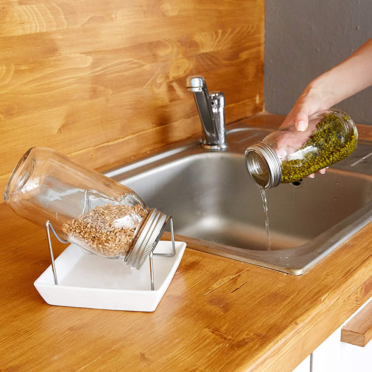 Regular Mouth Sprouter Glass Mason Jar Kits with Screen Lids Stands and Trays