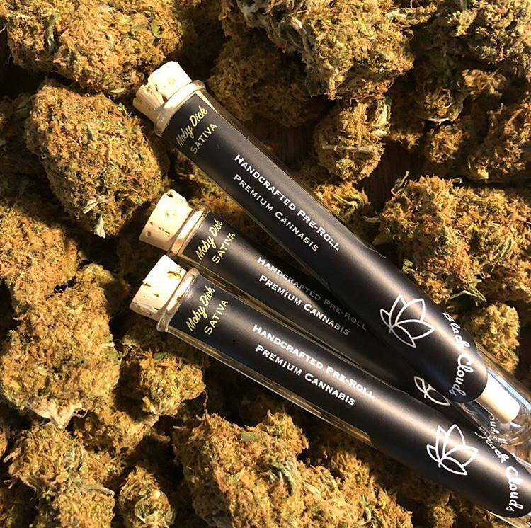 Round bottom pre roll tubes