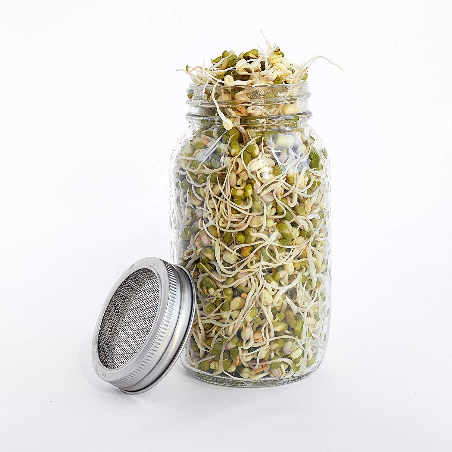 Set of 2 Mason Sprouting Jar Set with Stainless Steel Sprouting Lid and Hanging Metal Stand