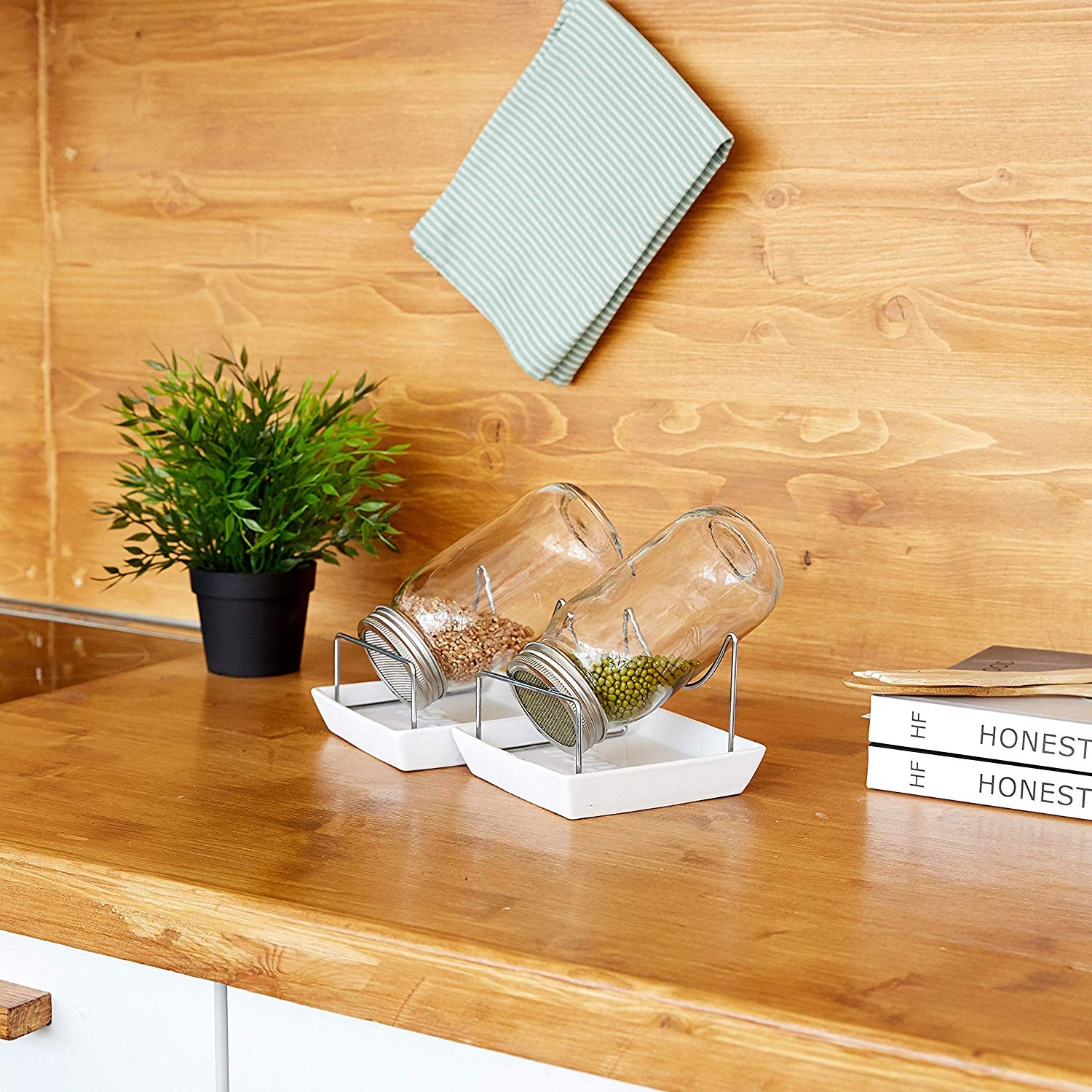 Set of 2 Mason Sprouting Jar Set with Stainless Steel Sprouting Lid and Hanging Metal Stand