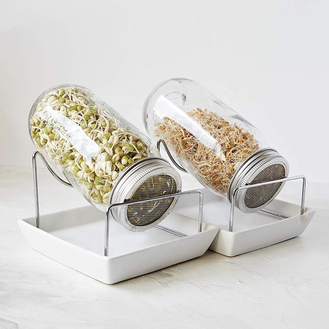 Set of 2 Mason Sprouting Jar Set with Stainless Steel Sprouting Lid and Stand