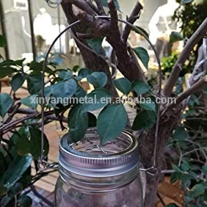 Silver Metal Frog Regular Mouth Transform Mason Ball Lid Inserts for flower vases, fairy solar lids, pens, kitchen organizer