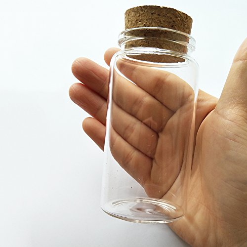 Storage Bottle 100ml Small Glass Bottles Vials Jars with Cork Stopper 47x90mm
