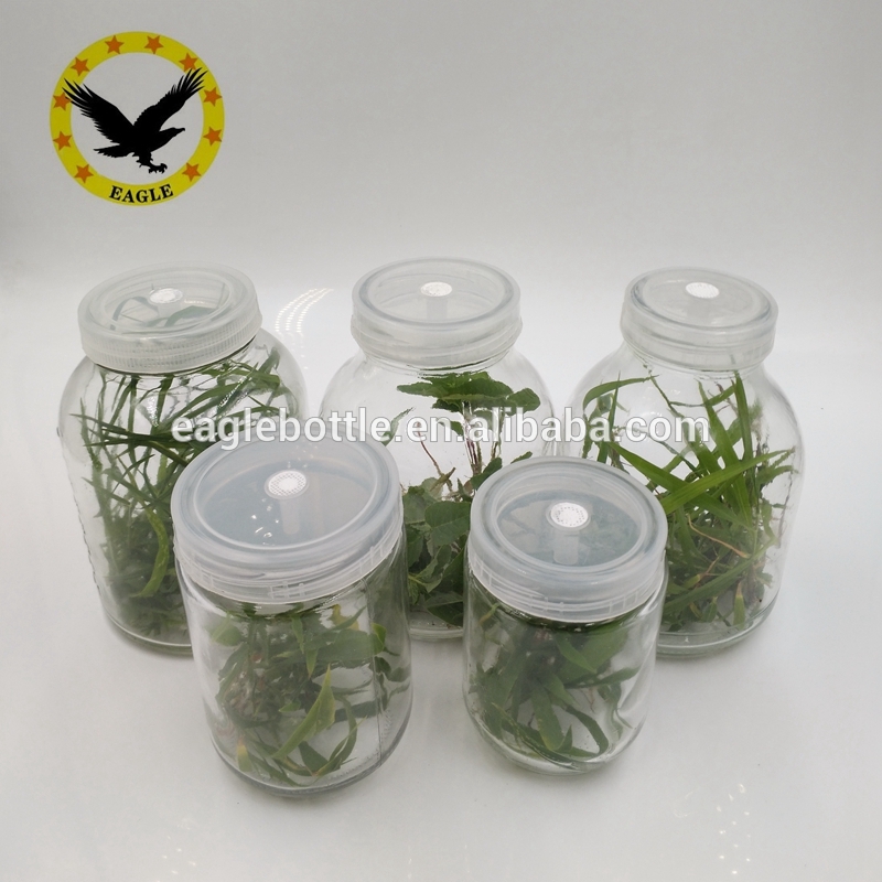 Tissue culture vessels jar and Nutrient solution glass jar big mouth and small mouth available 200ml 250ml 350ml 650ml 800ml