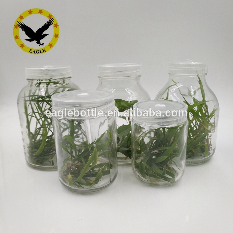 Tissue culture vessels jar and Nutrient solution glass jar big mouth and small mouth available 200ml 250ml 350ml 650ml 800ml