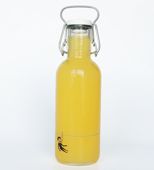 Vanjoin 200ml-1000ml sealing drinking liquor glass bottle with swing top