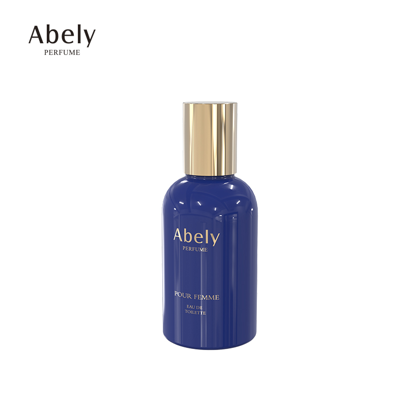 Wholesale 50 ml glass fancy perfume bottle emty perfume bottles fragrance glass perfume bottles