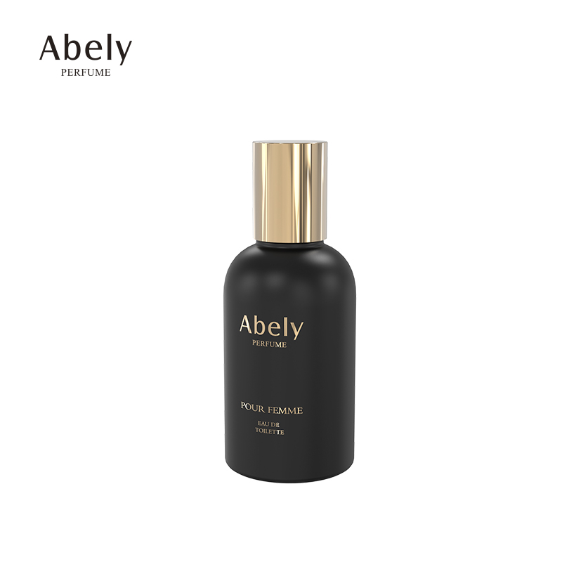 Wholesale 50 ml glass fancy perfume bottle emty perfume bottles fragrance glass perfume bottles