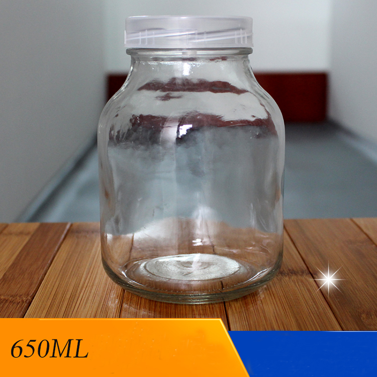 Wholesale 650ml glass jar tissue cultured orchid plants anthuriums plants seedlings for sale