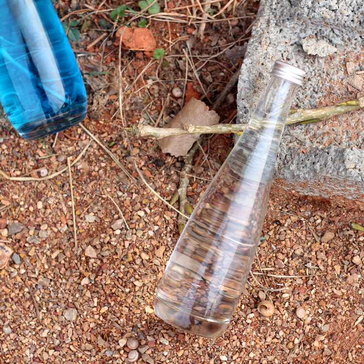 Wholesale Customized Color 250Ml 500Ml 300Ml Beverage Glass Bottle With Swing Top Cap