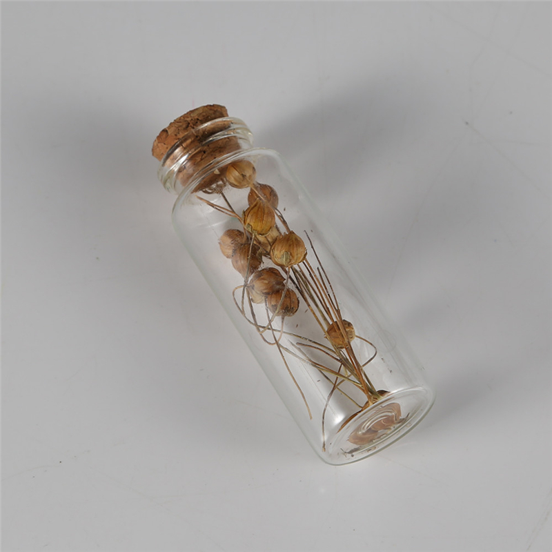 Wholesale Glass Vials Glass Wishing Bottle With Cork For Fancy Food Storage Jar Clear Wishing Message Glass Bottles Vials With C