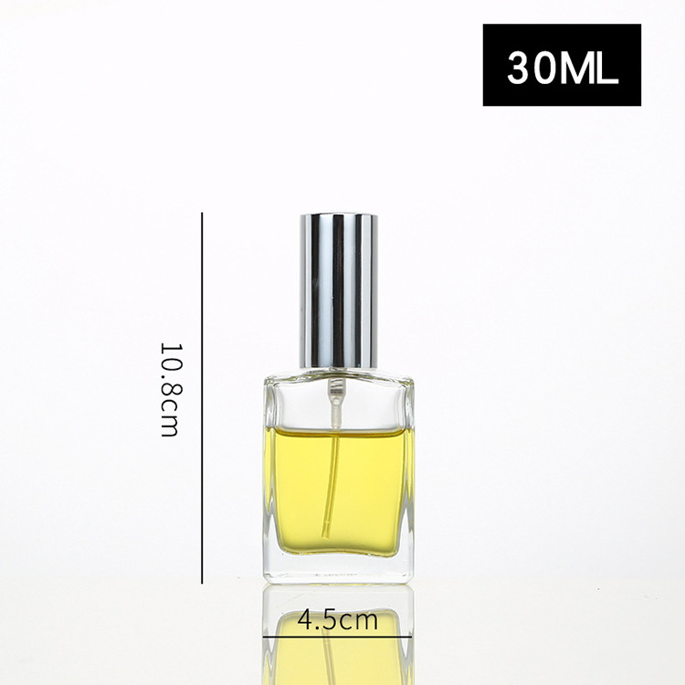 Wholesale Hot 30ml 50ml 100ml Luxury Transparent Clear Empty Glass Rectangular Perfume Bottle with Gold Silver Spray Pump
