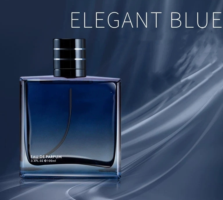 Wholesale custom 100 ml men's fashion with spray shape suitable for reloading perfume spray bottle empty with fine packaging box