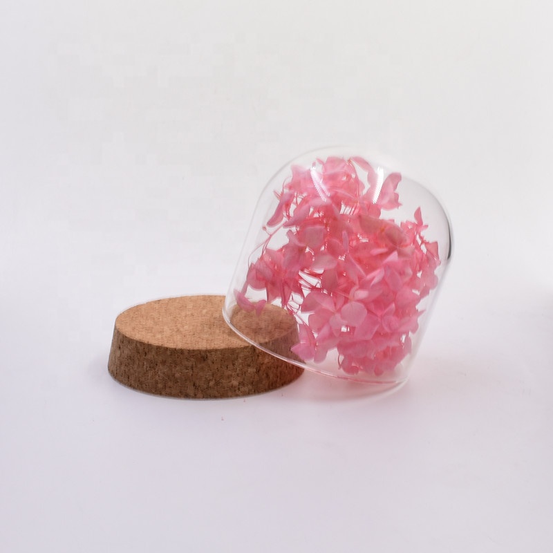 Wholesale high borosilicate glass clear empty Dome good looking shape with Synthetic wooden base for doll gift display