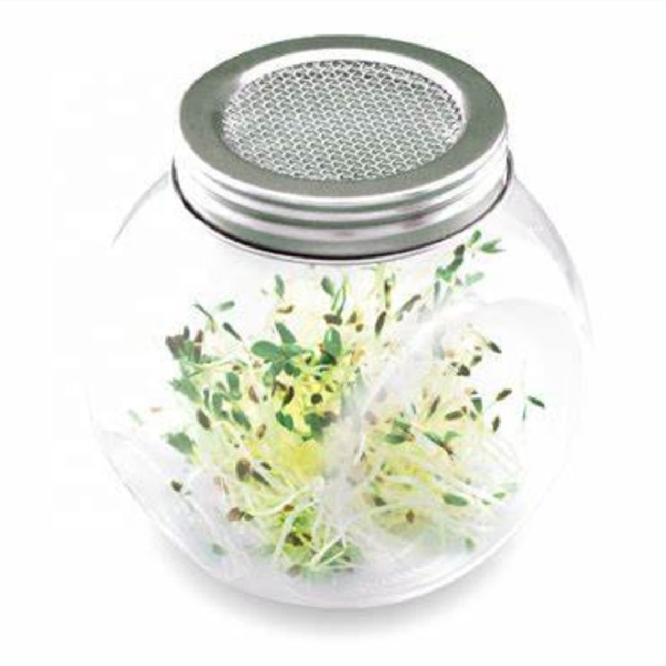 Wide Mouth Glass Seed Sprouting Mason Jar Kit with Screen Lids