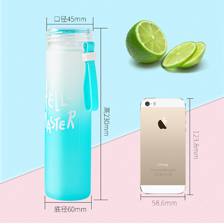 cheap price frost glass water bottle with the lift rope for beverage
