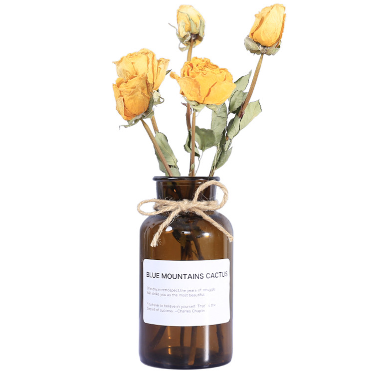 cheap transparent or amber round modern style glass bottle vase