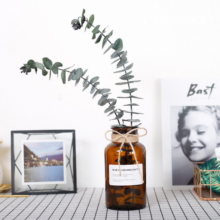 cheap transparent or amber round modern style glass bottle vase