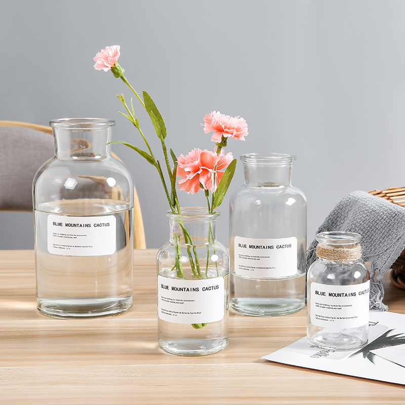 cheap transparent or amber round modern style glass bottle vase