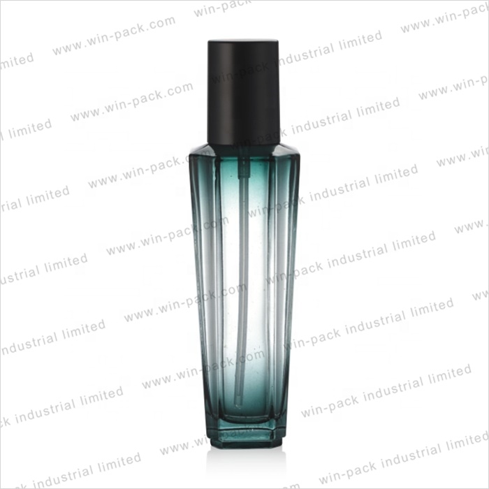 custom cosmetic luxury glass lotion pump bottle packaging 30ml 100ml 120ml