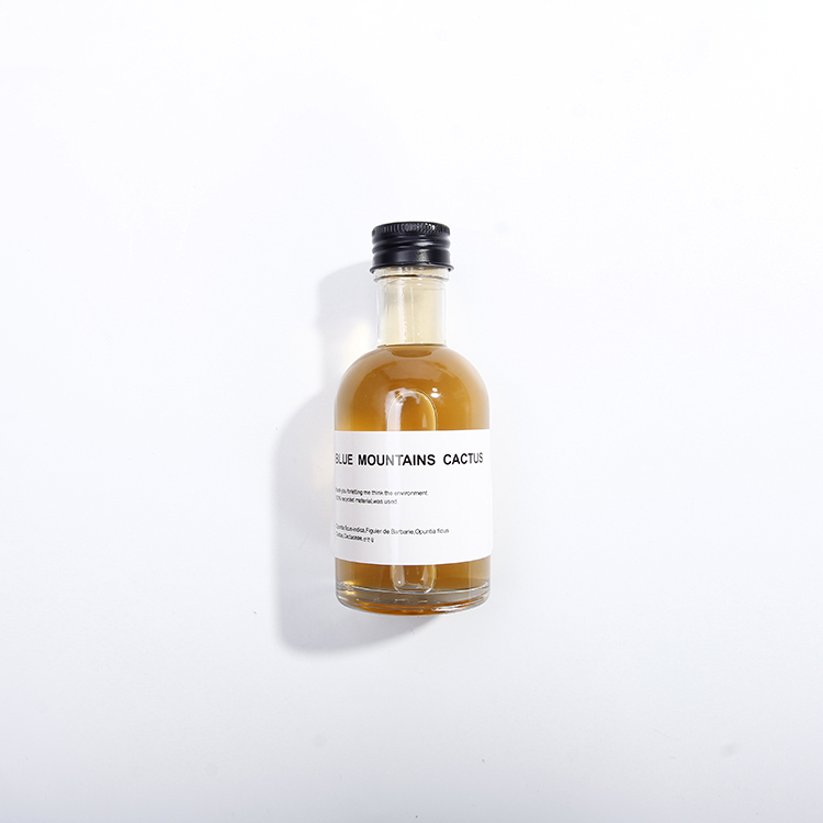 customized fashion alcohol mini glass bottle 50ml small liquor bottle