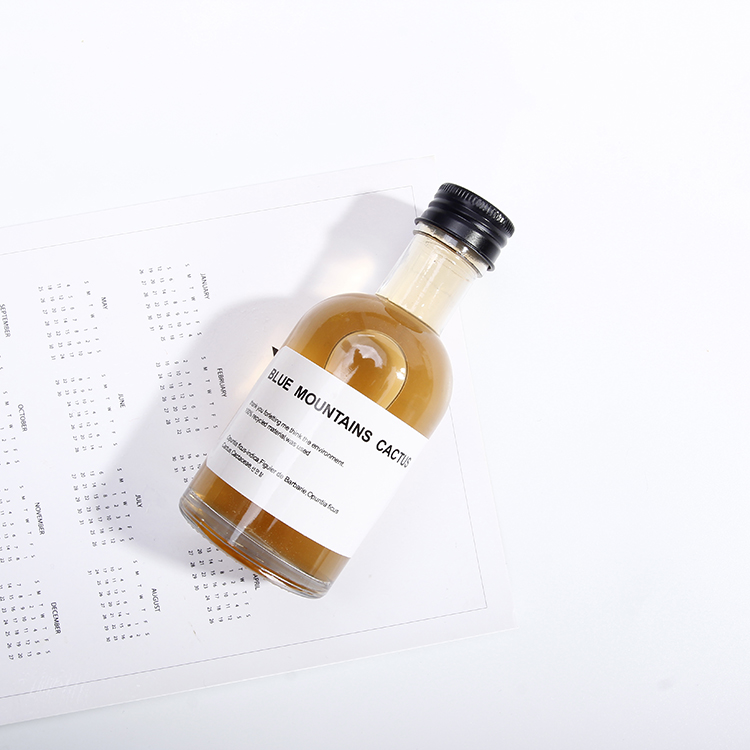 customized fashion alcohol mini glass bottle 50ml small liquor bottle