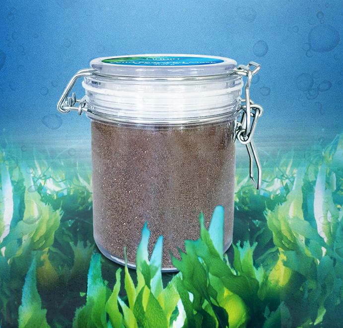 new 250g 200g round clear bottle new balm lotion skin face cream glass jar emulsion clip stainless steel top gasket cosmetic