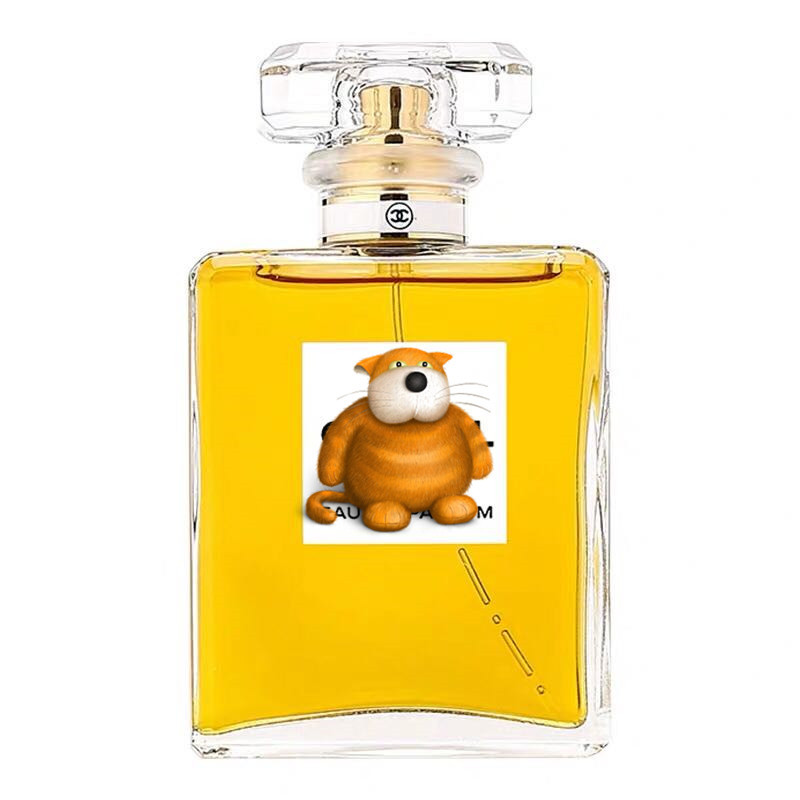 perfume bottle 50 ml 100ml perfume bottle perfume glass bottle